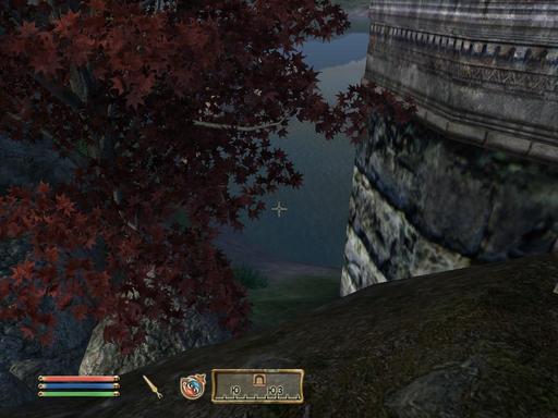 Elder Scrolls IV: Oblivion, The - Дневник имперского гастарбайтера. Том второй.