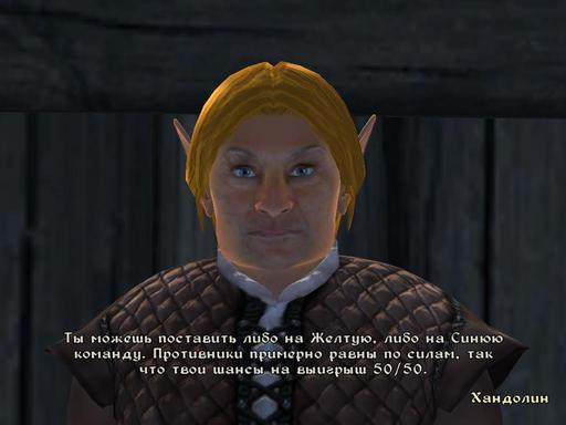 Elder Scrolls IV: Oblivion, The - Дневник имперского гастарбайтера. Том второй.