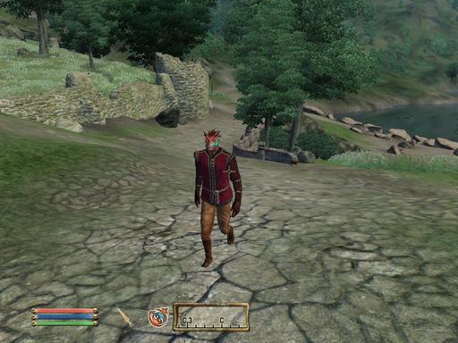 Elder Scrolls IV: Oblivion, The - Дневник имперского гастарбайтера. Том второй.