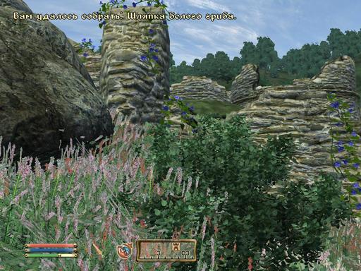 Elder Scrolls IV: Oblivion, The - Дневник имперского гастарбайтера. Том второй.