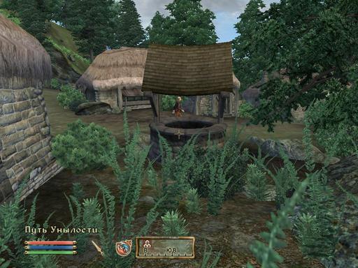 Elder Scrolls IV: Oblivion, The - Дневник имперского гастарбайтера. Том третий.